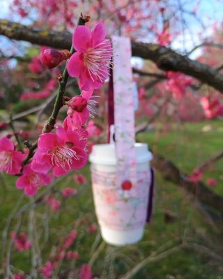 Jak jste si užily včerejší Den žen? 💐👸🎁 ✍️ Napište nám do komentáře, co jste podnikly, co vás potěšilo a koho jste...